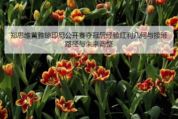 郑思维黄雅琼印尼公开赛夺冠后经验红利几何与接班路径与未来调整